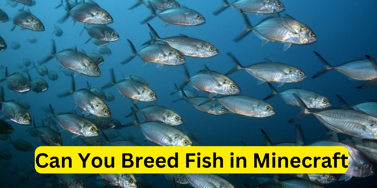 Can You Breed Fish in Minecraft
